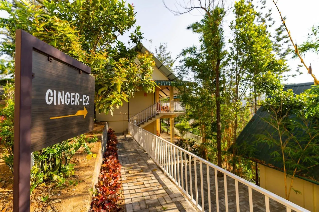 Winter Vale Green Stay Resorts Vagamon